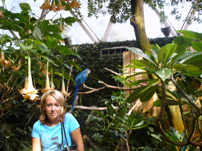 Ванкувер. В оранжерее "Bloedel".