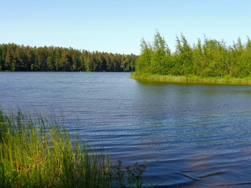 Рощинка