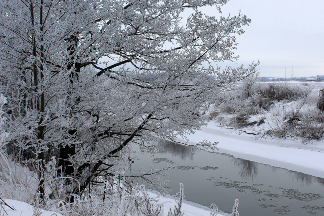 все деревья в инее и в инее трава