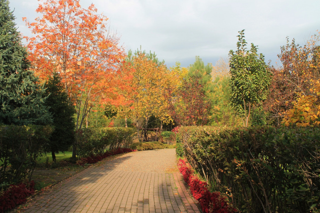 В парке "Сады мечты"