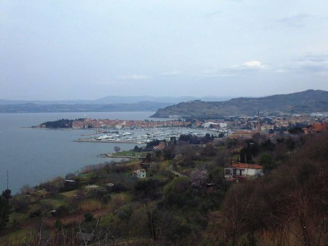 Прогулка. Словения