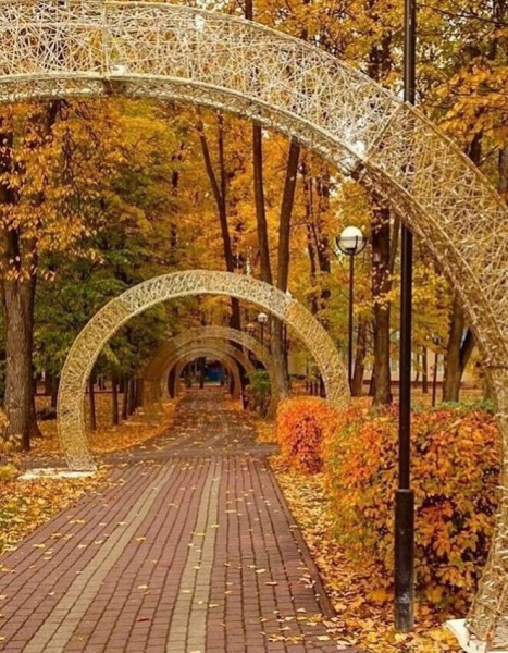 В городском парке осень