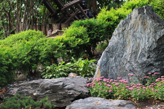 В парке "Сады мечты"