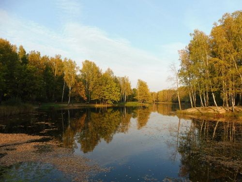 Осень Петергофа