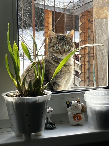 Выходи гулять, март пришел!