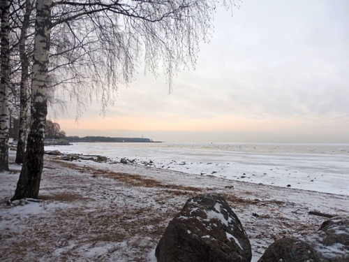 Берег Финского залива