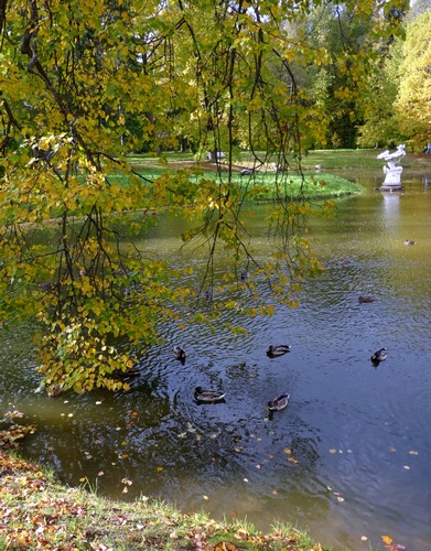 Осень