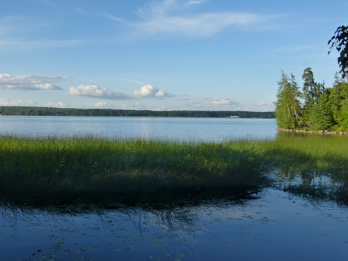 Пейзажи Монрепо