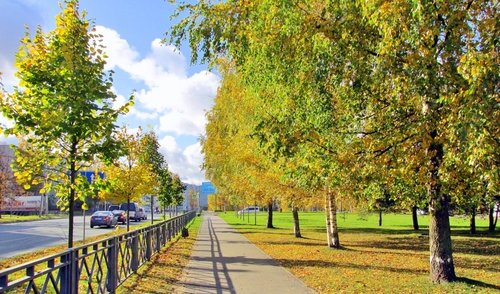 Осень в городе