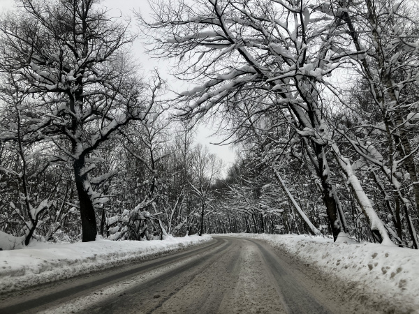Зимняя дорога