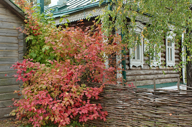 дом семьи Есениных в селе Константиново