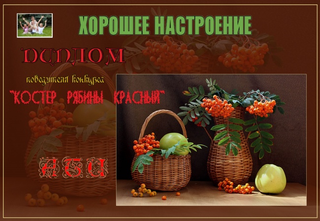 ДИПЛОМ победителя конкурса "КОСТЕР РЯБИНЫ КРАСНЫЙ"