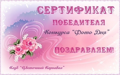 немного радости