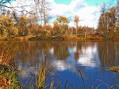Рыжая осень