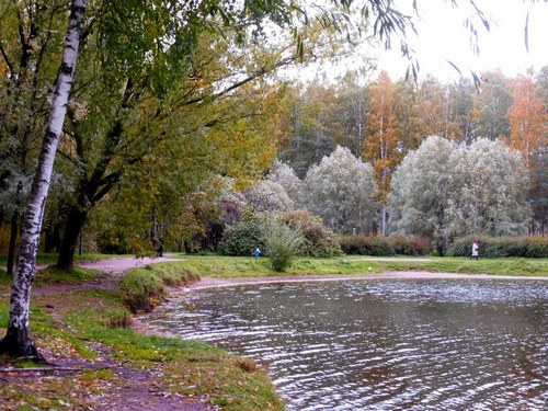 Краски осени