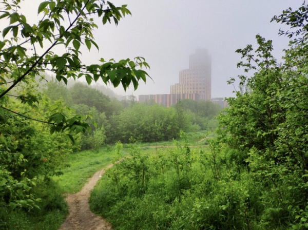 В тумане