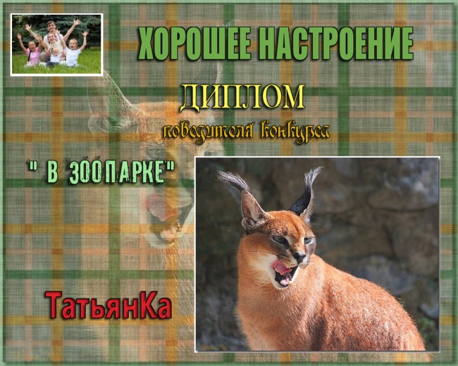 ДИПЛОМ победителя конкурса  " В ЗООПАРКЕ"