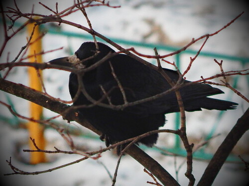 048-1aa718bafdc5f8c6c