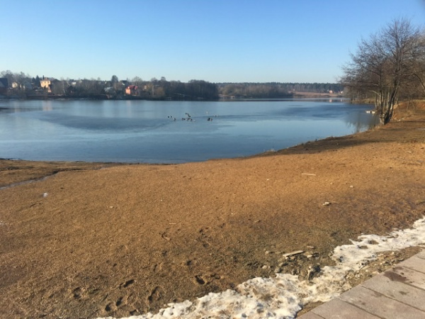 На водоеме