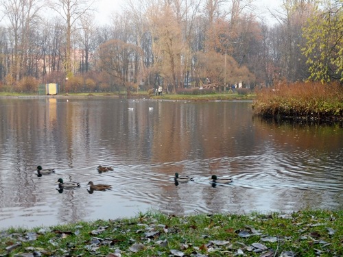 Осенний парк