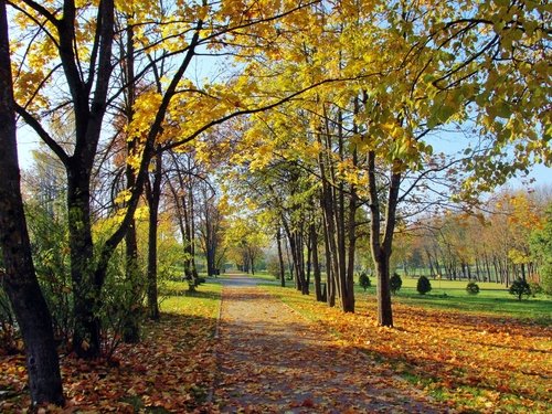 В осеннем прке