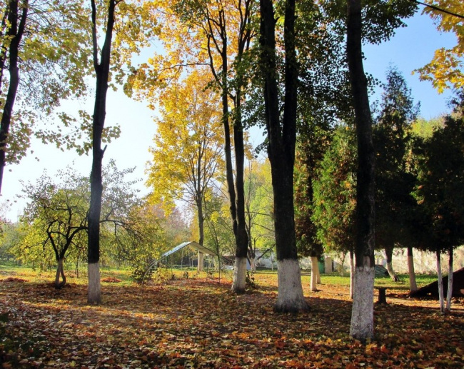 Осенью в парке