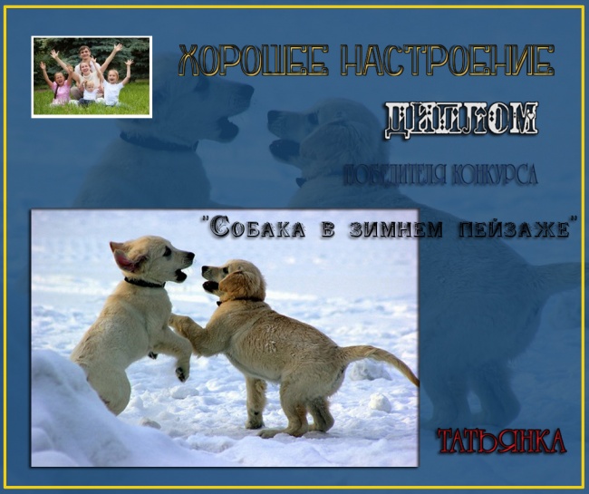 ДИПЛОМ победителя конкурса   "Собака в зимнем пейзаже"