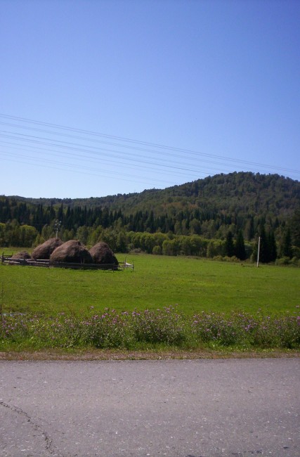 Алтай2007 август 07 146