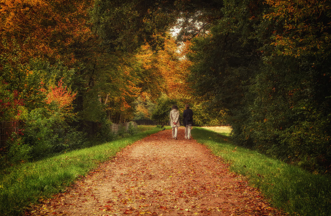 Прогулка в Осень