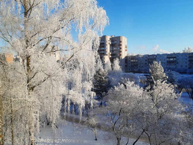 Зима за окном