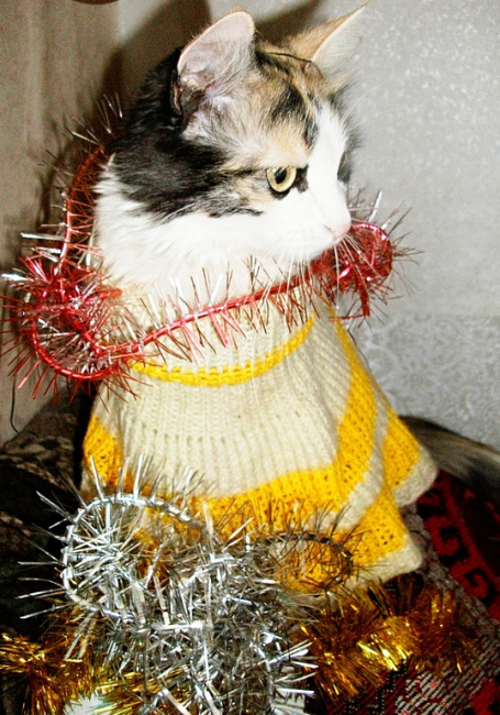 Домашняя Снегурка