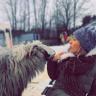 ласковая овца