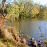 Краски осени