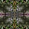 artifractus_by_rozrr-d6qofpq