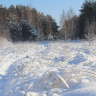 тропка в зимний лес