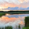 48 неделя   работа «Летний вечер» автор Cветлана