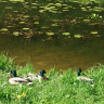 IMG_20250531_144534