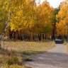 Осень в парке