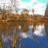Рыжая осень
