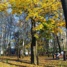 осень