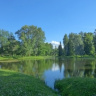 Отражения лета