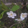 IMG_20250514_100141