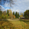 Осень золотая
