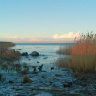 Подморозило