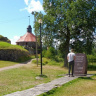 Корела