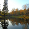 Отражения осени