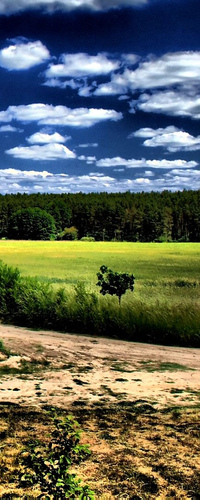 Анжела