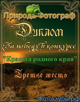 Зимняя сказка
