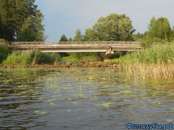 DSCN2660.JPG