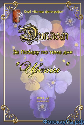 Нежность лета 18.12. 2014